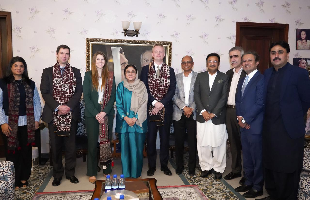 British diplomats calls on Faryal Talpur